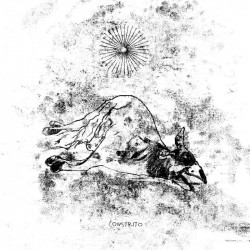 Constrito - 12" EP