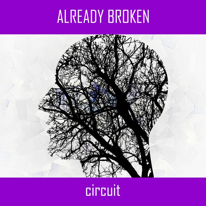 Circuit