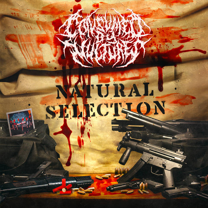 Natural Selection