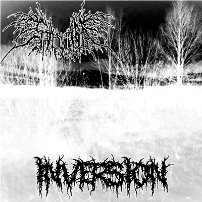 Inversion