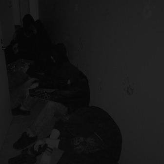 Demo 2013