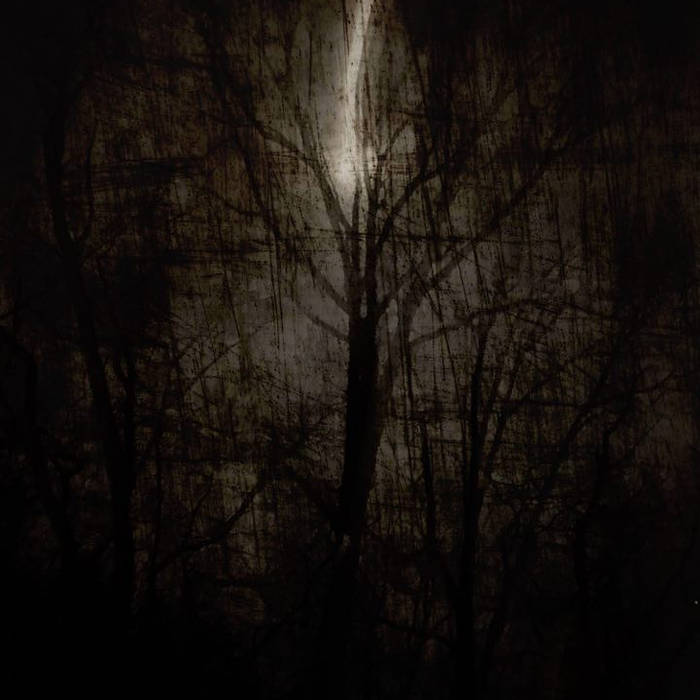 Divination