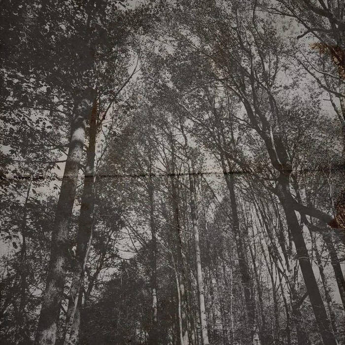 Desolation