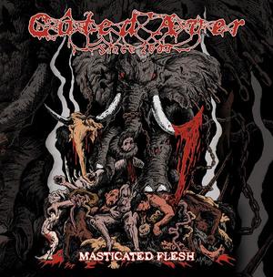 Masticated Flesh
