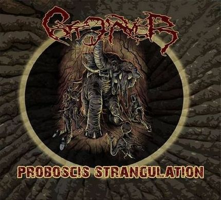 Proboscis Strangulation