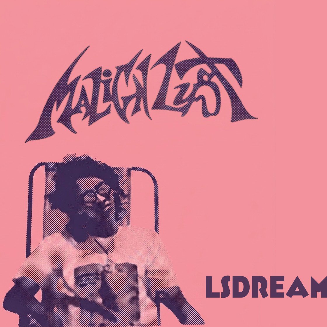 LSDream