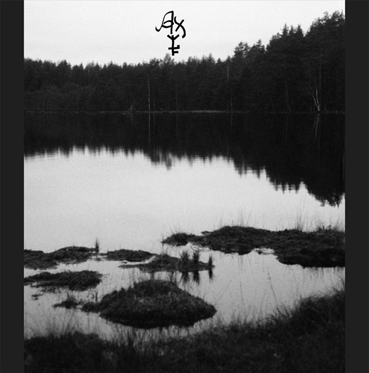 Aarnisammal I