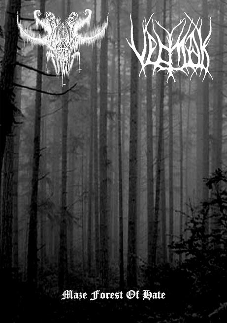 Maze Forest of Hate