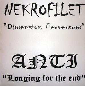 Longing for the End / Dimension Perversum