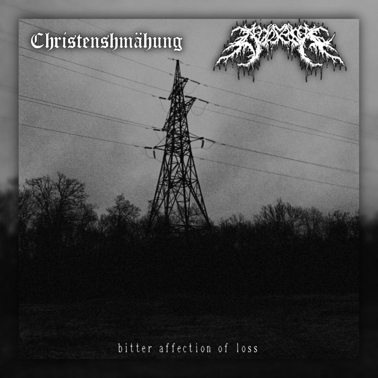 Bitter Affection of Loss