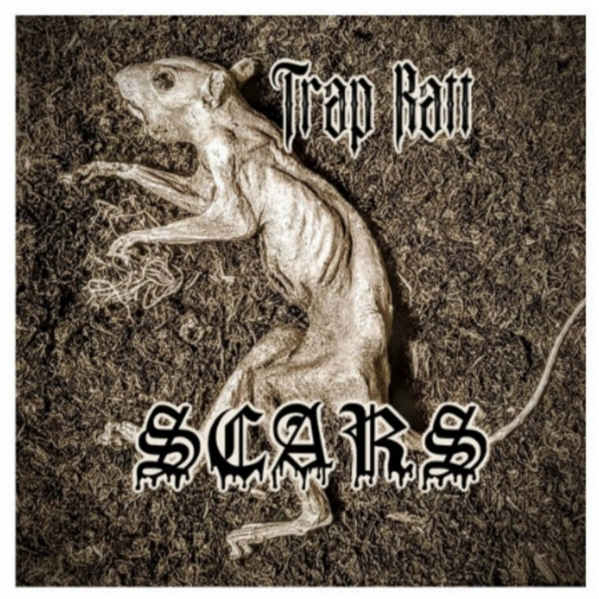 Scars