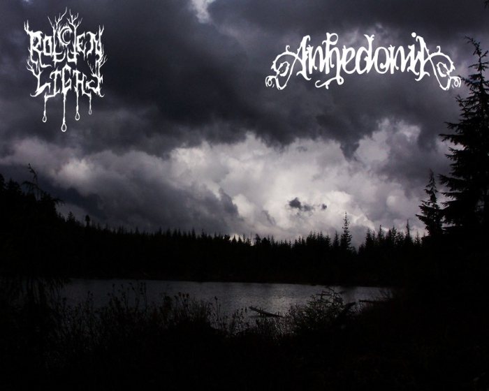 Anhedonia / Rotten Light