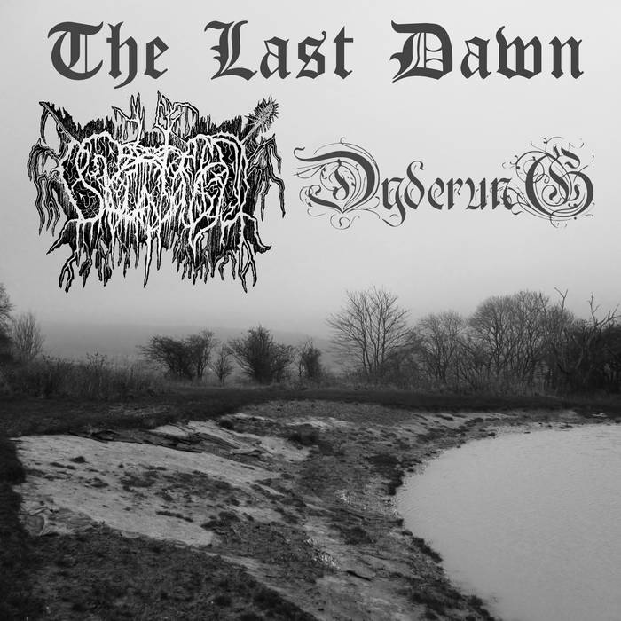 The Last Dawn