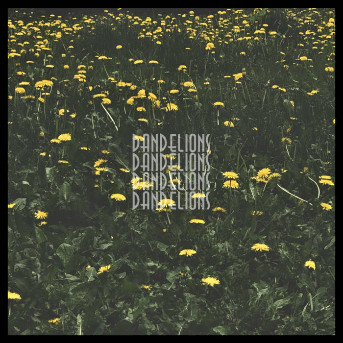 Dandelions