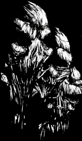 The Silent Echoes of the Confinement