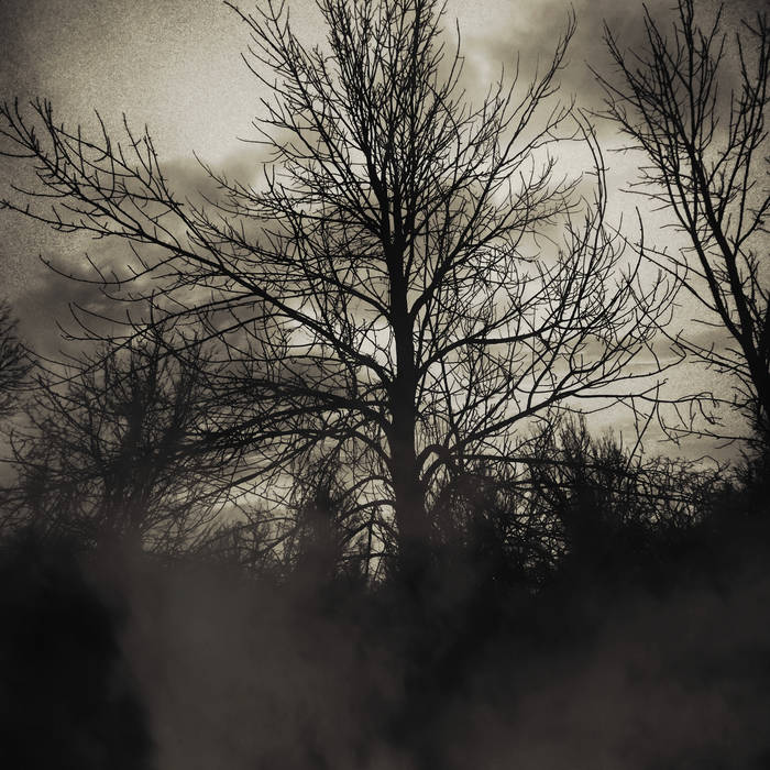 The Lost Chapter