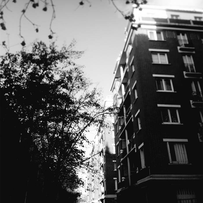 Les forêts