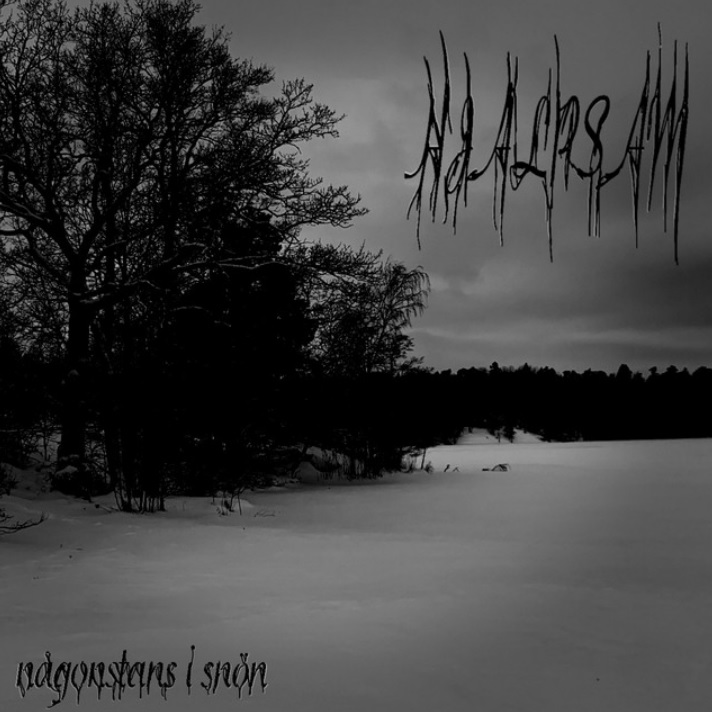 Någonstans i snön