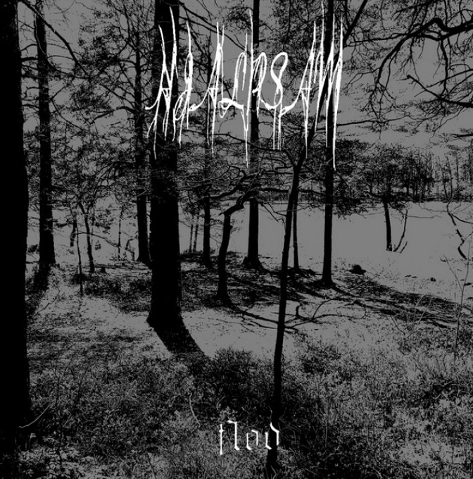 Flod