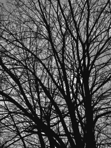 Remorse