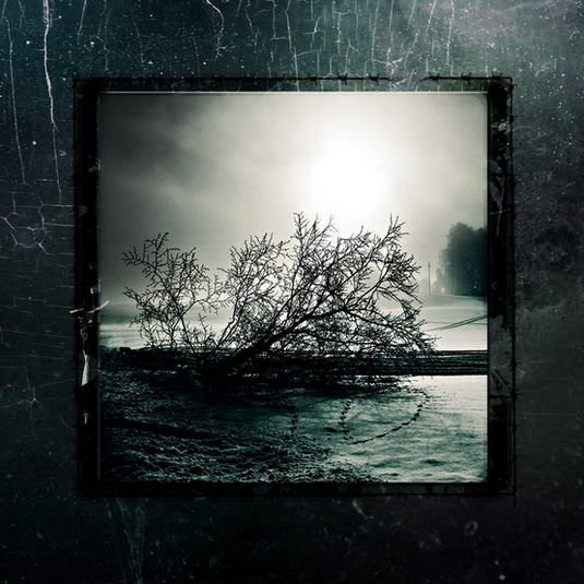 B.T.T. / Like Desolate like True / Nihilism / Erkhrankung
