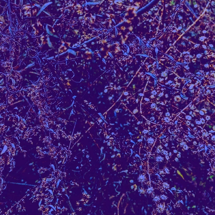 Alone