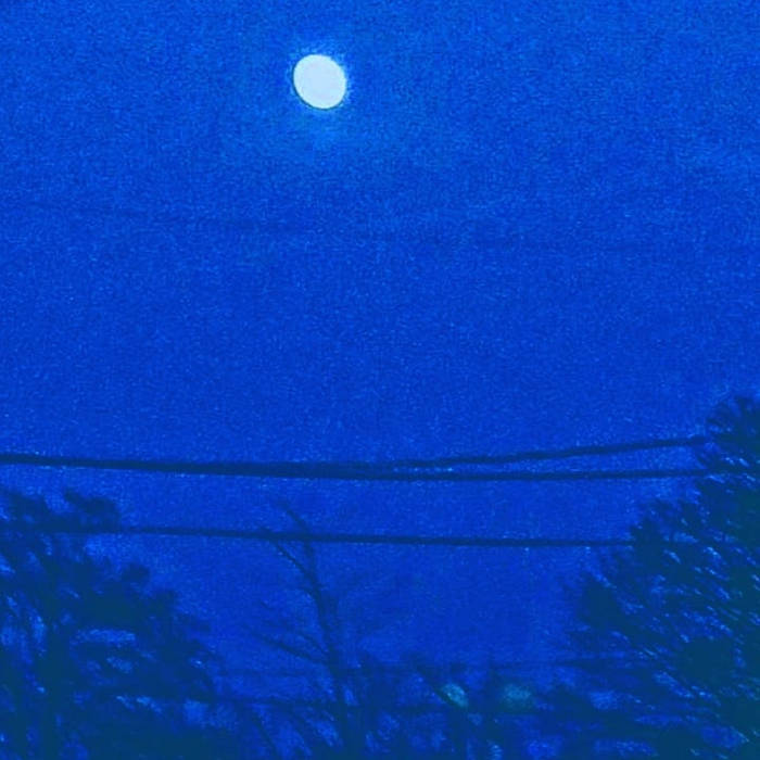 In the Winter Night