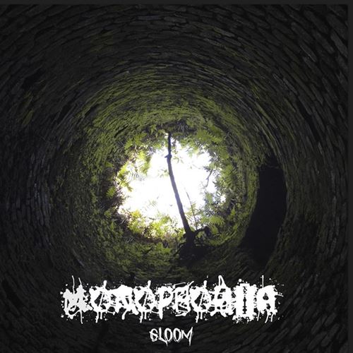 Gloom