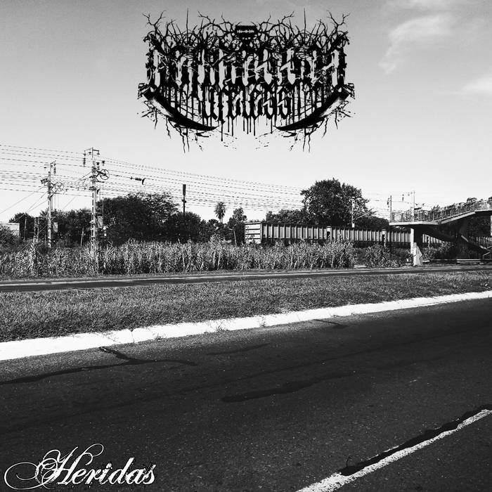 Heridas