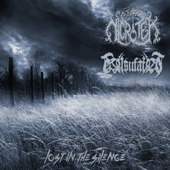 Lost in the Silence