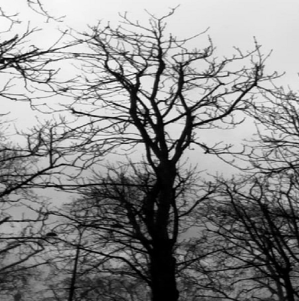 Life in Solitude