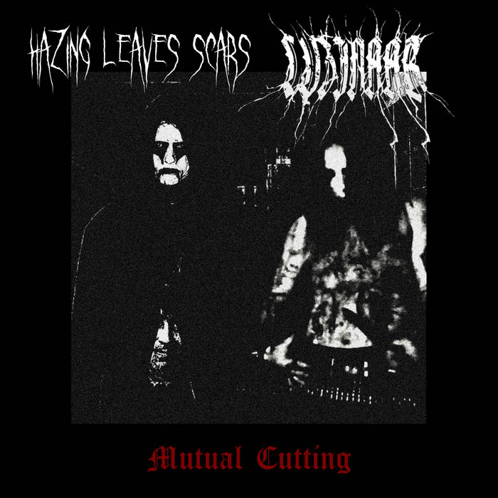 Mutual Cutting