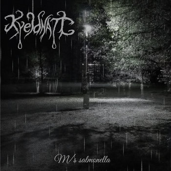 M/S Salmonella (Lifelover cover)
