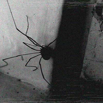 A Very Poor Mono Home Recording