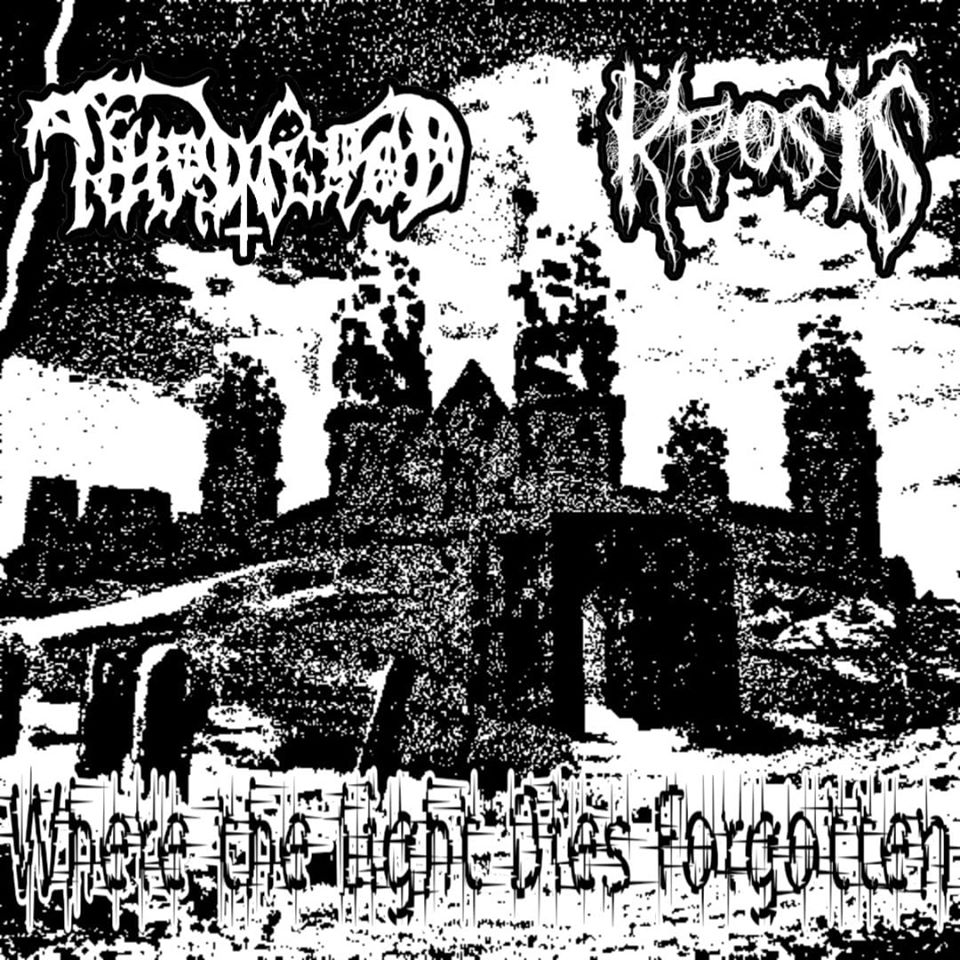 Where the Light Dies Forgotten
