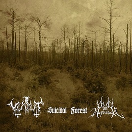 Vernent / Suicidal Forest / Mount Depression