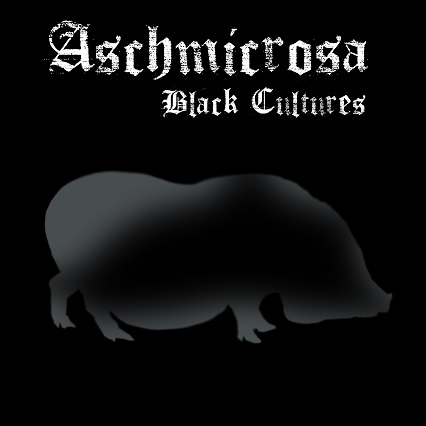 Black Cultures