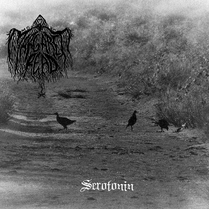 Serotonin