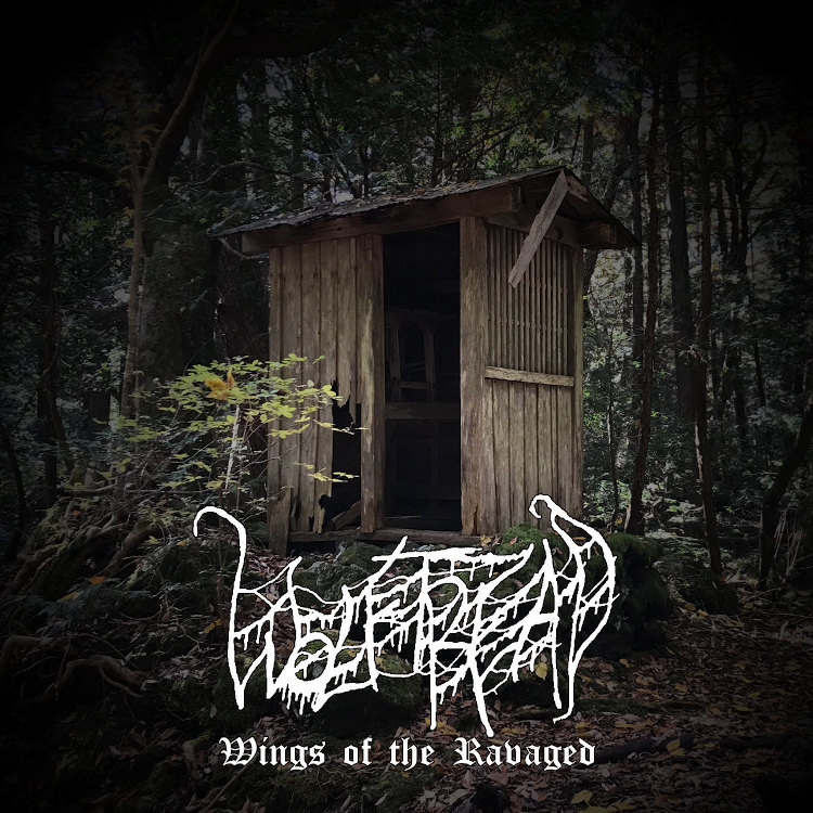 Wings of the Ravaged