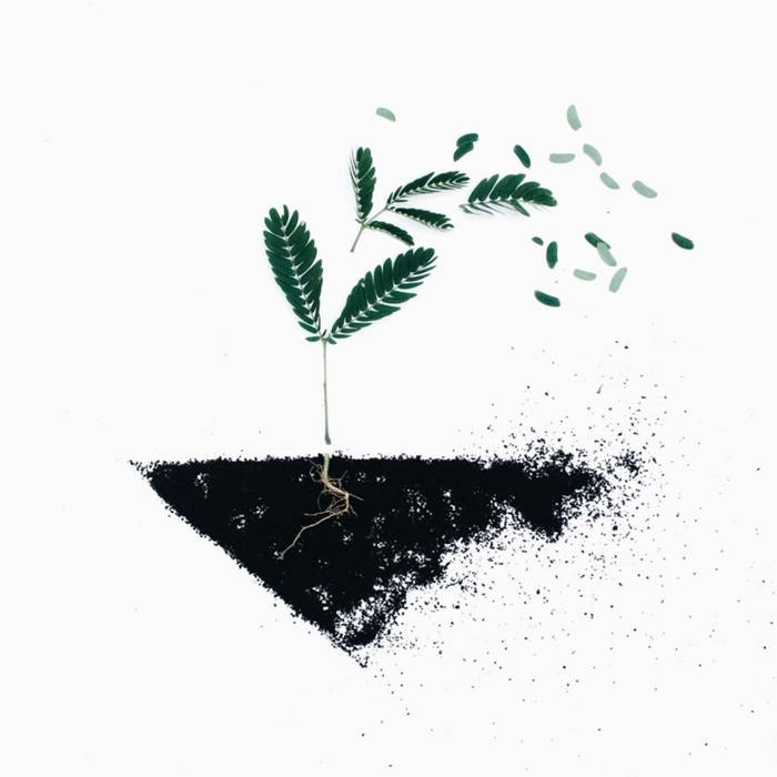 Our Roots, Our Soul