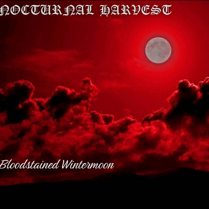 Bloodstained Wintermoon