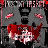 Fall of America
