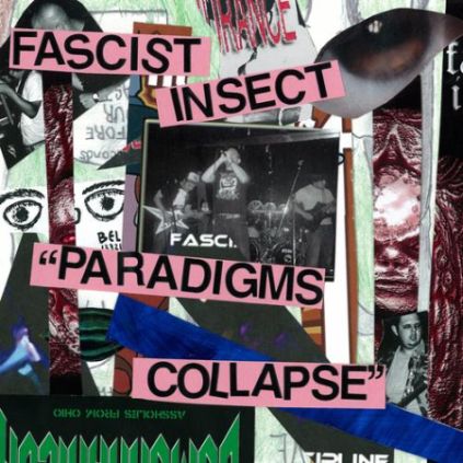 Paradigms Collapse