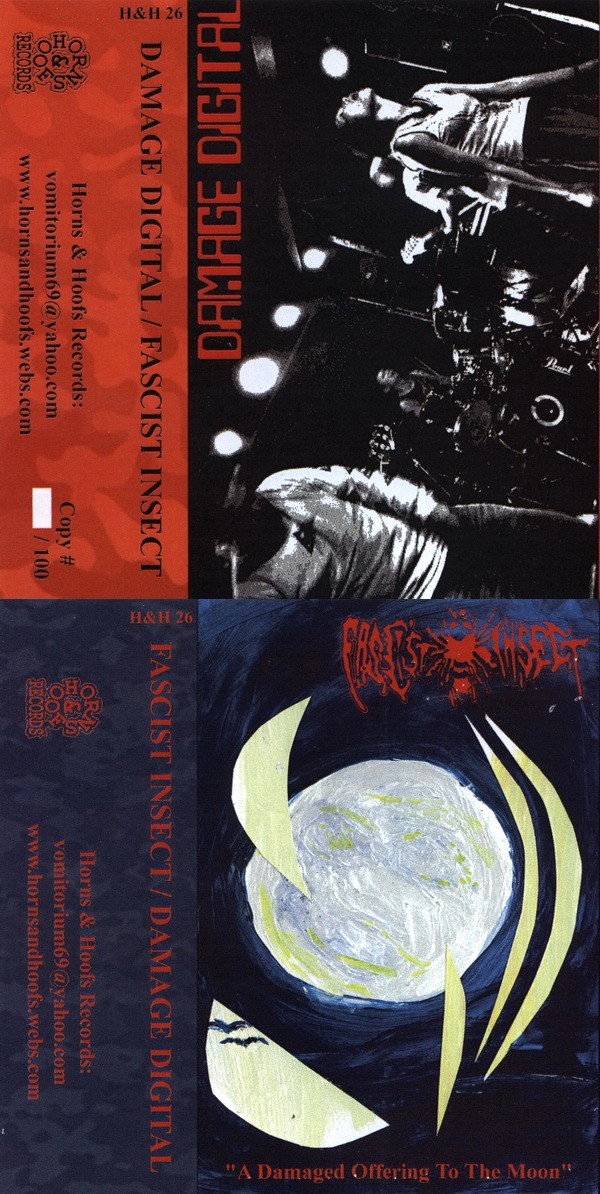 Damage Digital / A Damaged Offering to the Moon