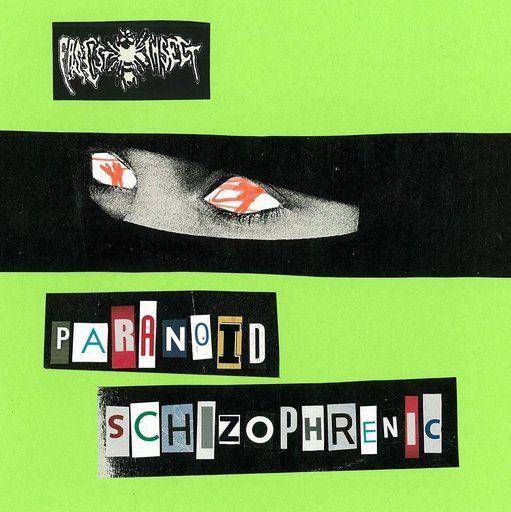 Paranoid Schizophrenic