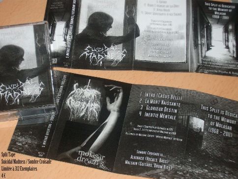 Molasar Dream's