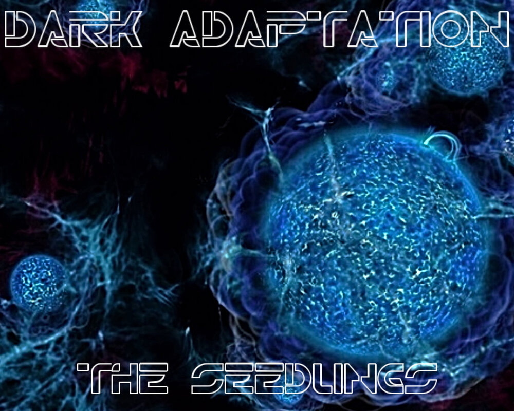 The Seedlings
