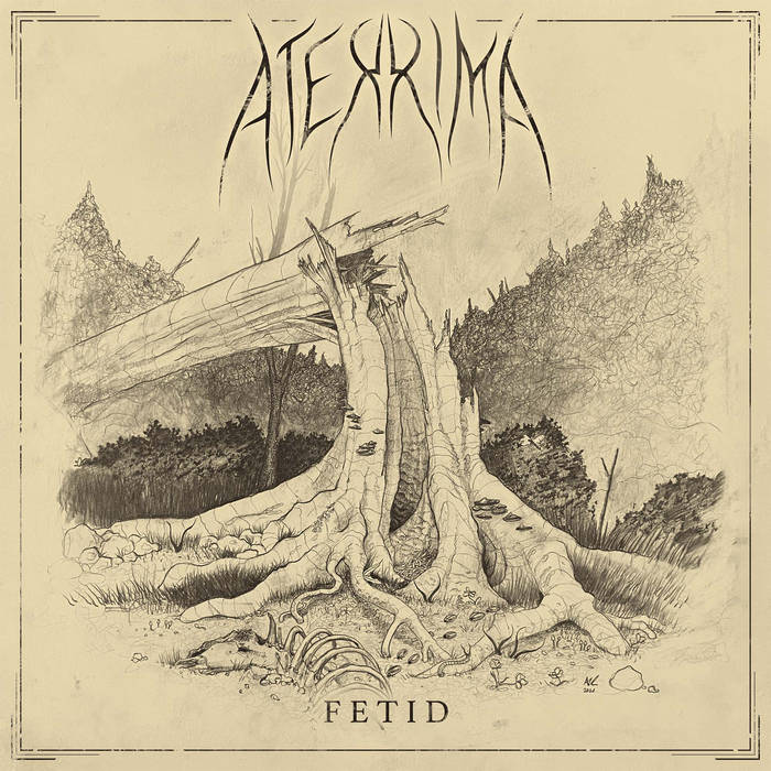 Fetid