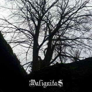Versunken im Morast