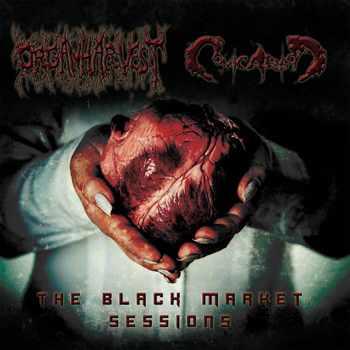 The Black Market Sessions